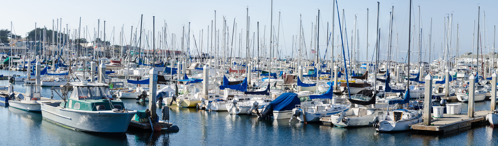 Boats in Harbor